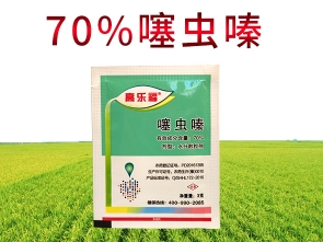 70%噻虫嗪 蚜虫稻飞虱蓟马专用药